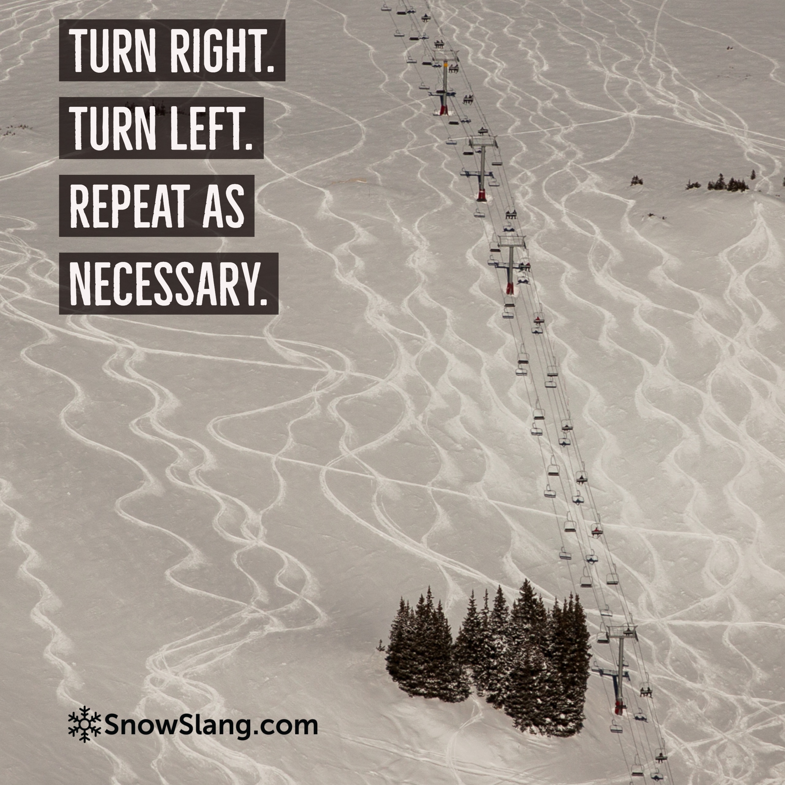 skiing quotes turn right turn left repeat