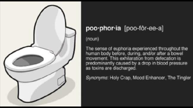 I love big dumps poophoria definition