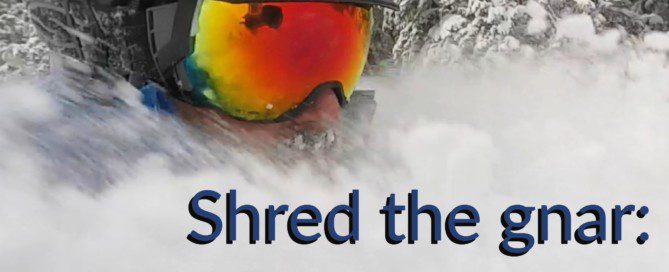 Shred the gnar meaning new square